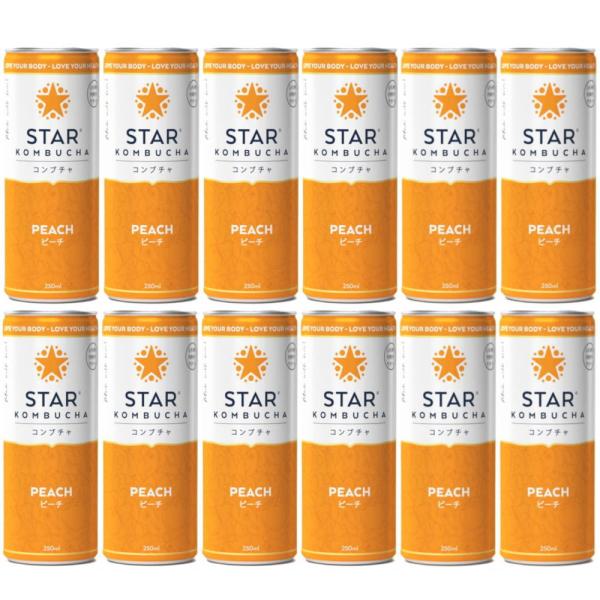 送料無料 スターコンブチャ ピーチ(発酵飲料)[250ml×12本]STAR KOMBUCHA PE...
