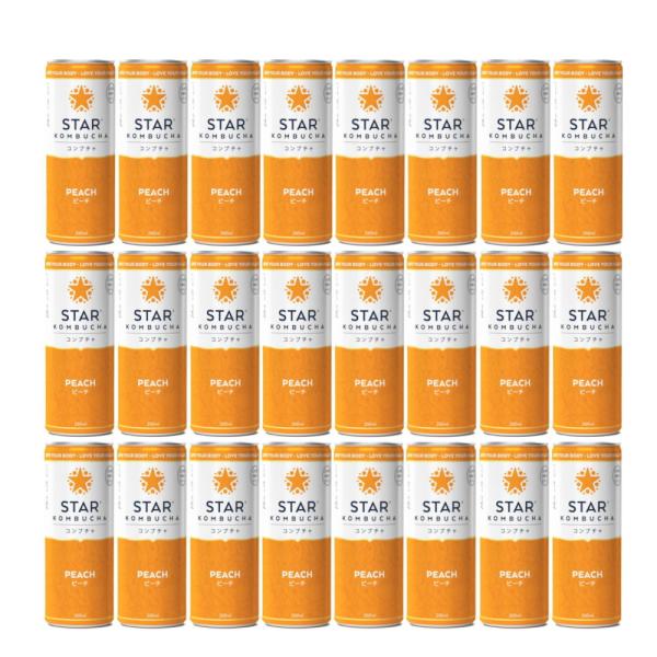 送料無料 スターコンブチャ ピーチ(発酵飲料)[250ml×24本]STAR KOMBUCHA PE...
