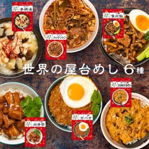 世界の屋台めし 6種セット 参鶏湯(サムゲタン)ユッケジャン 胡麻味噌坦々 肉骨茶(バクテー)ガパオ 魯肉飯(ルーローファン)(常温便)