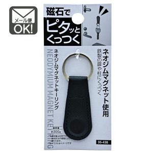 磁石でピタッとくっつくネオジムマグネットキーリング　y24n30k　メール便対応　1通24個までOK