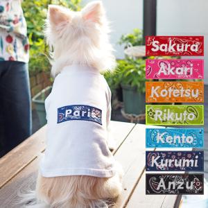 超小型犬 毛皮 コート サファイヤミンク 1号サイズ細め