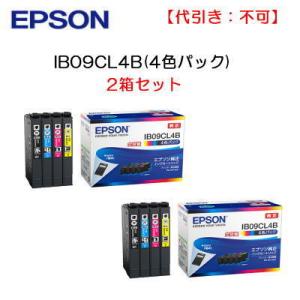 ((EPSON メーカー純正品))  ((2箱(8個)セット))  IB09CL4B(4色パック) エプソンインク ((代引き：不可))｜107shop