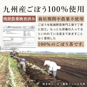 国産 ごぼう茶 2g 25包 水出し茶 ティー...の詳細画像3