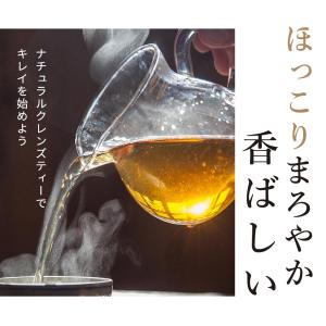 国産 ごぼう茶 2g 25包 水出し茶 ティー...の詳細画像4