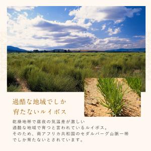 有機ルイボスティー 琥珀 25包 オーガニック...の詳細画像3