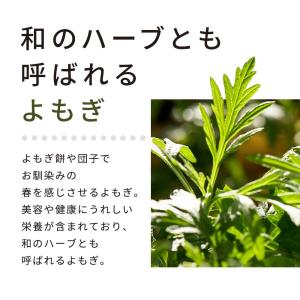 セール よもぎ茶 よもぎ 国産 3g 50包 ...の詳細画像5