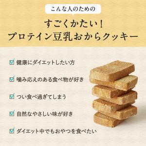かたい おからクッキー プロテイン 高タンパク...の詳細画像4
