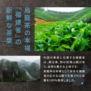 黒烏龍茶 烏龍茶 黒ウーロン茶 2.5g 50...の詳細画像4