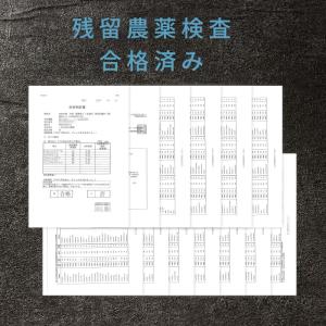 黒烏龍茶 烏龍茶 黒ウーロン茶 2.5g 50...の詳細画像5