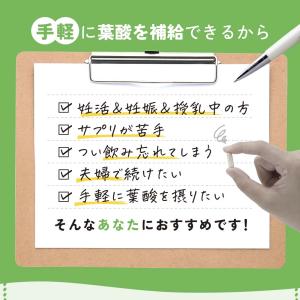 有機ルイボスティー グリーンルイボス 葉酸 5...の詳細画像2