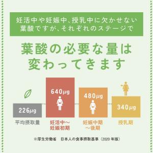 有機ルイボスティー グリーンルイボス 葉酸 5...の詳細画像3