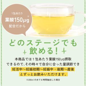 有機ルイボスティー グリーンルイボス 葉酸 5...の詳細画像4