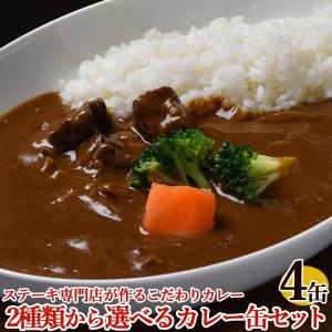 飛騨牛 飛騨豚カレー 4缶 ステーキ専門店が作る2種類から選べるカレー缶（2缶×2種類）キッチン飛騨 岐阜県 お土産 宅配便A セール