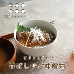 魚惣菜 ピリ辛サバ味噌煮丼 4食セット レトルト 週2のおさかな丼