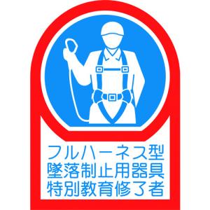 緑十字 ヘルメット用ステッカー フルハーネス型墜落制止用器具特別教育修了者 ＨＬ−１２８ ３５×２５ｍｍ １０枚組 オレフィンの商品画像