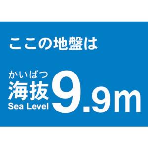 ＴＲＵＳＣＯ 海抜ステッカー ９．９ｍ （２枚入）の商品画像