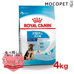 犬のおやつ餌詰め合わせ大特価♡送料無料♡1 プレミアム長持ちおやつ 砂肝ハード 45g 森光商店 [ドッグフード