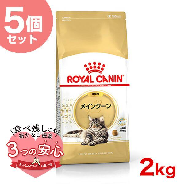 【お得な5個セット】ロイヤルカナン メインクーン 成猫用 2kg / メインクーン 成猫用（生後15...