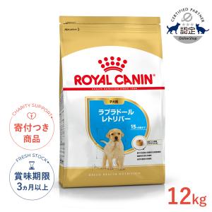 ELMO 【正規代理店】【成犬用】ELMO アダルト ラム・ライス＆ポテト