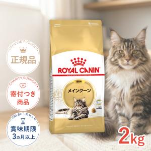 PURINA ピュリナワン キャット 室内飼い猫用 インドアキャット 1歳以上