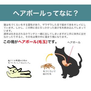ロイヤルカナン ヘアボール ケア 2kg / ...の詳細画像3