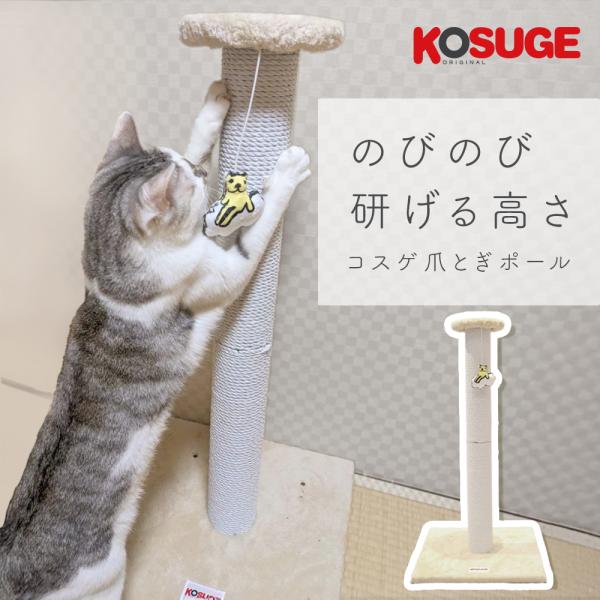 [コスゲオリジナル]KOSUGE ORIGINAL コスゲ爪とぎポール コスゲおもちゃ付き ネコ用 ...