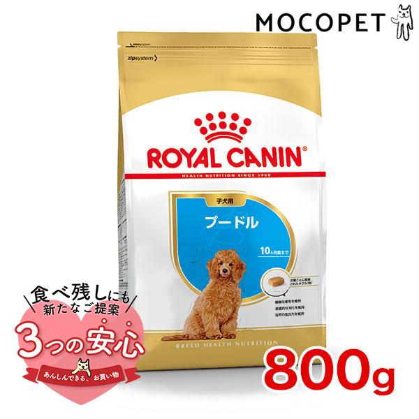 ロイヤルカナン プードル 子犬用 800g / プードル子犬用（生後10ヵ月齢まで） / ドライフー...