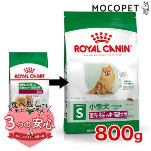  CANIN ミニインドアアダルト 10kg ロイヤルカナン ミニ インドア アダルト 10ヵ月齢以上 ( 800g