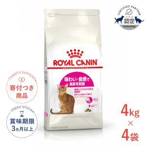 コールド＆ホットプレート #3300（ポータブルタイプ） : 水回り厨房の