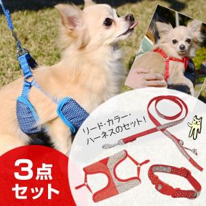 【訳アリ】【3点セット】[アドメイト]Add.Mate ツートンドットカラー 首輪 ハーネス 胴輪 リード 小型犬用 #w-138953 破格