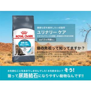 ロイヤルカナン ユリナリー ケア 400g /...の詳細画像2