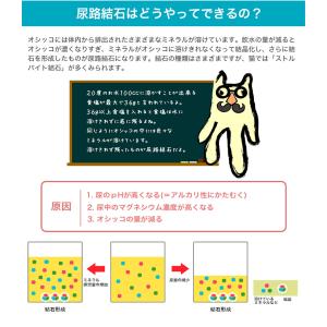 ロイヤルカナン ユリナリー ケア 2kg / ...の詳細画像5