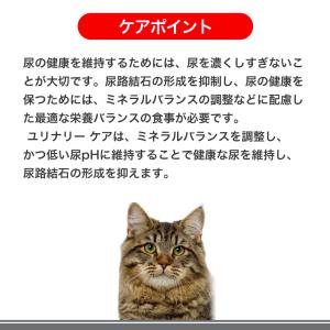 【お得な48個セット】ロイヤルカナン ユリナリ...の詳細画像3