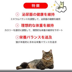 【お得な48個セット】ロイヤルカナン ユリナリ...の詳細画像4