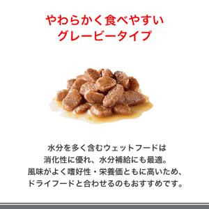 【お得な48個セット】ロイヤルカナン ユリナリ...の詳細画像5