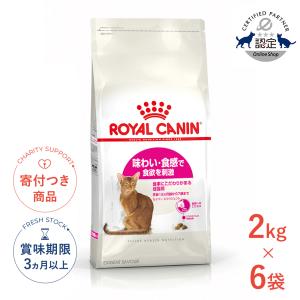 ピュリナワン キャット ドライ 室内飼い猫用 1歳以上 サーモン＆ツナ