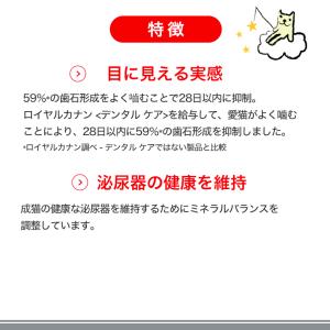 【お得な6個セット】ロイヤルカナン デンタル ...の詳細画像4
