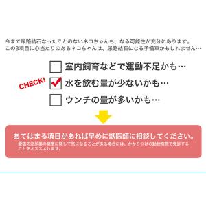 【お得な6個セット】ロイヤルカナン ユリナリー...の詳細画像3