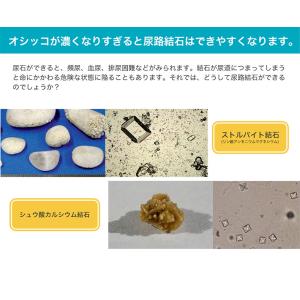 【お得な6個セット】ロイヤルカナン ユリナリー...の詳細画像4