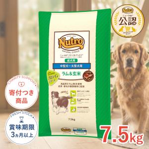 ナチュラルチョイス ラム&玄米 エイジングケア 7.5kg / 中型犬〜大型犬