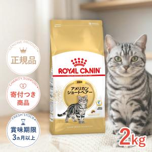 JPスタイル ダイエティクス ストルバイトブロック 猫用 2.1kg