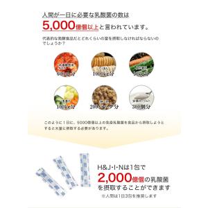 H&J PREMIUM 乳酸菌 H&J・I・N...の詳細画像3