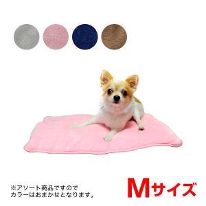NEW カラーブランケット Mサイズ/ [ペットプロ]PetPro