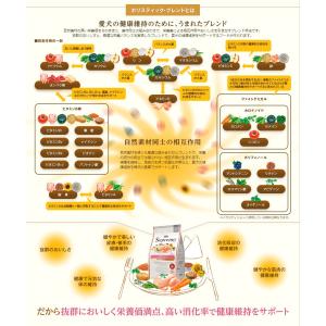 [シュプレモ]Supremo 草原のレシピ 4...の詳細画像3