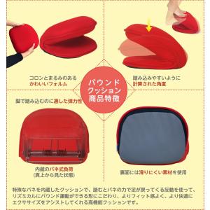 バウンドクッション スポーツオアシス メーカー公式の詳細画像2
