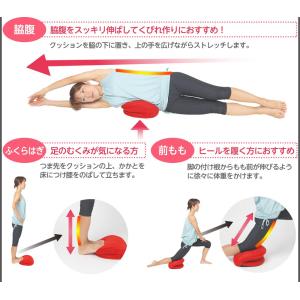 バウンドクッション スポーツオアシス メーカー公式の詳細画像5
