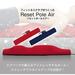 リセットポールエアー RPA-100 エアーバ...の詳細画像1