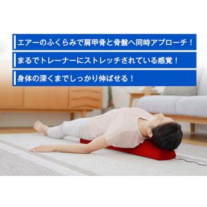 リセットポールエアー RPA-100 エアーバ...の詳細画像5