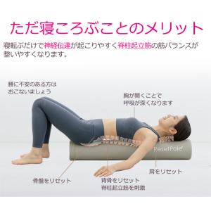リセットポール ベーシック RP-800 スト...の詳細画像3