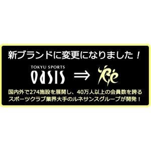 ツイストエアロステッパーSP-200 30日間...の詳細画像2